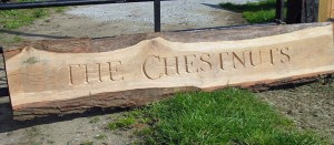 Hand Carved Name Board